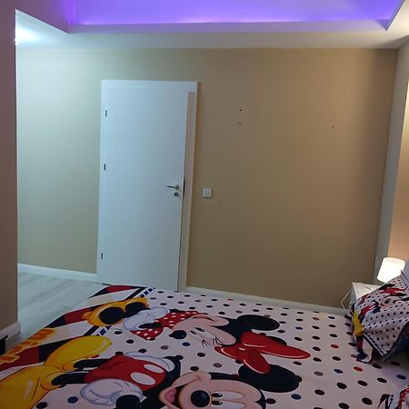 Myky Mouse Nu Primesc Santieristi Si Petrecareti Apartment Букурещ Екстериор снимка