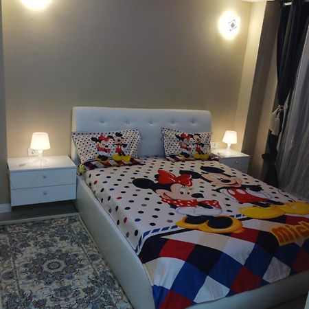 Myky Mouse Nu Primesc Santieristi Si Petrecareti Apartment Букурещ Екстериор снимка