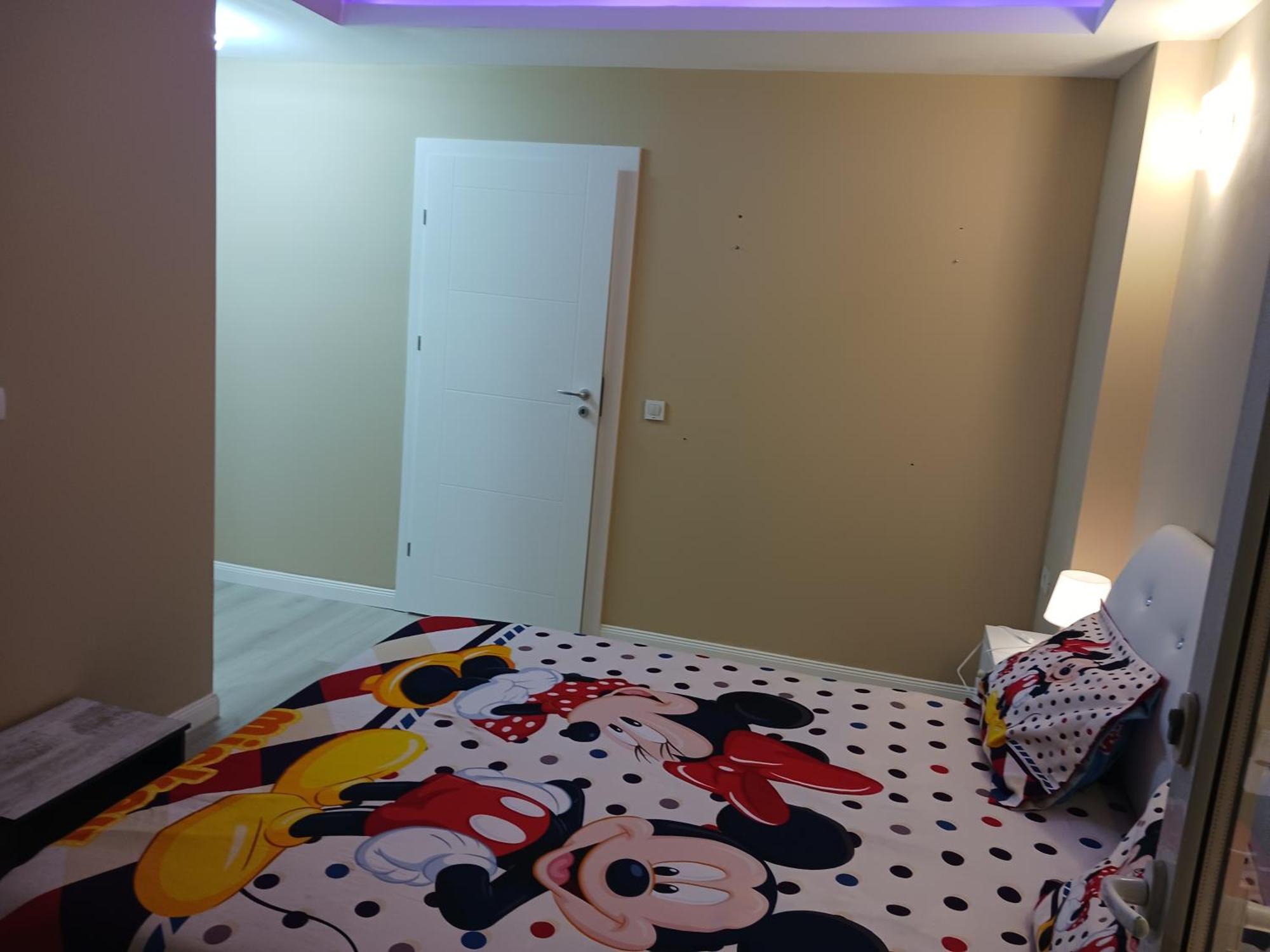 Myky Mouse Nu Primesc Santieristi Si Petrecareti Apartment Букурещ Екстериор снимка