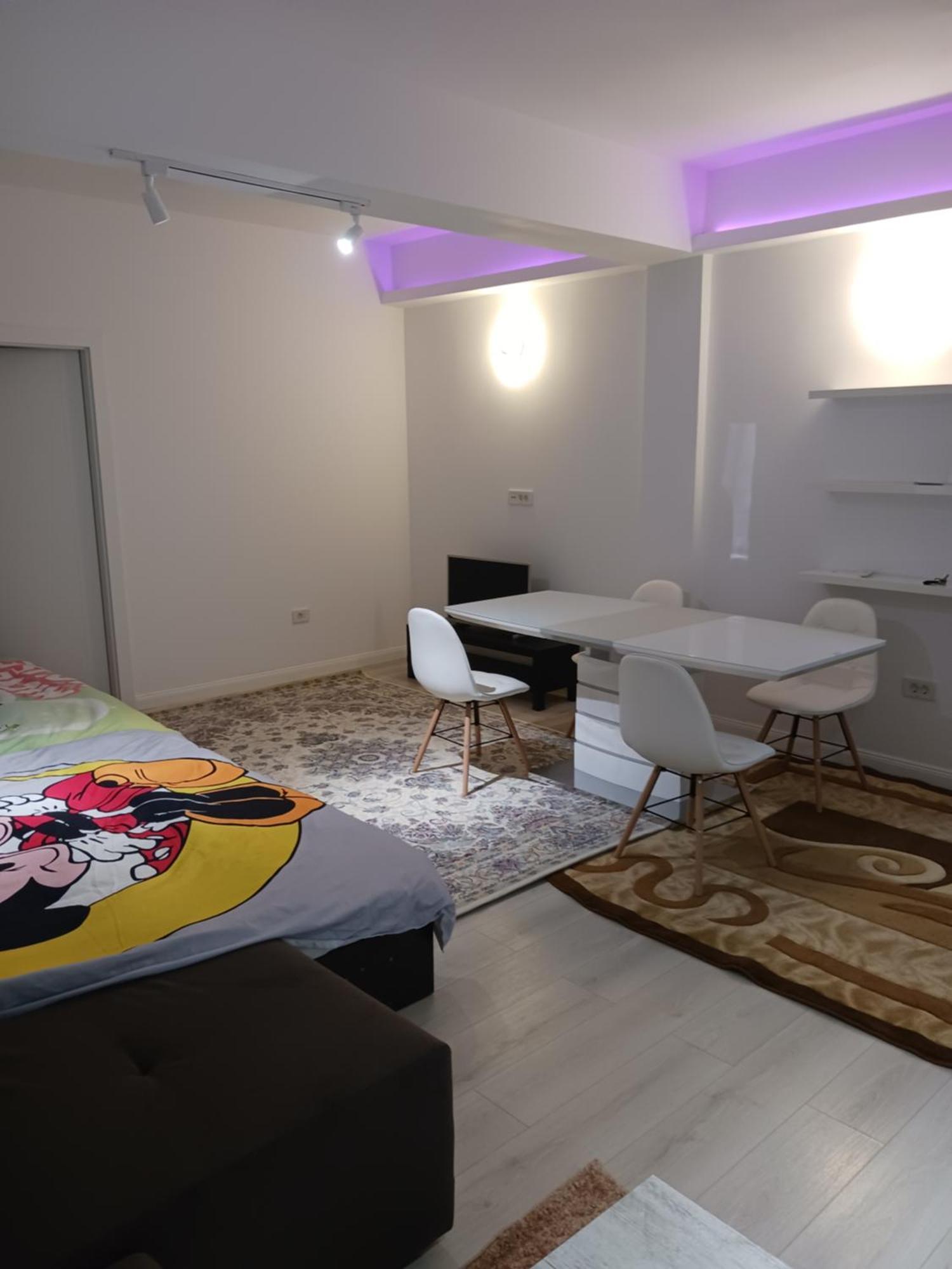 Myky Mouse Nu Primesc Santieristi Si Petrecareti Apartment Букурещ Екстериор снимка