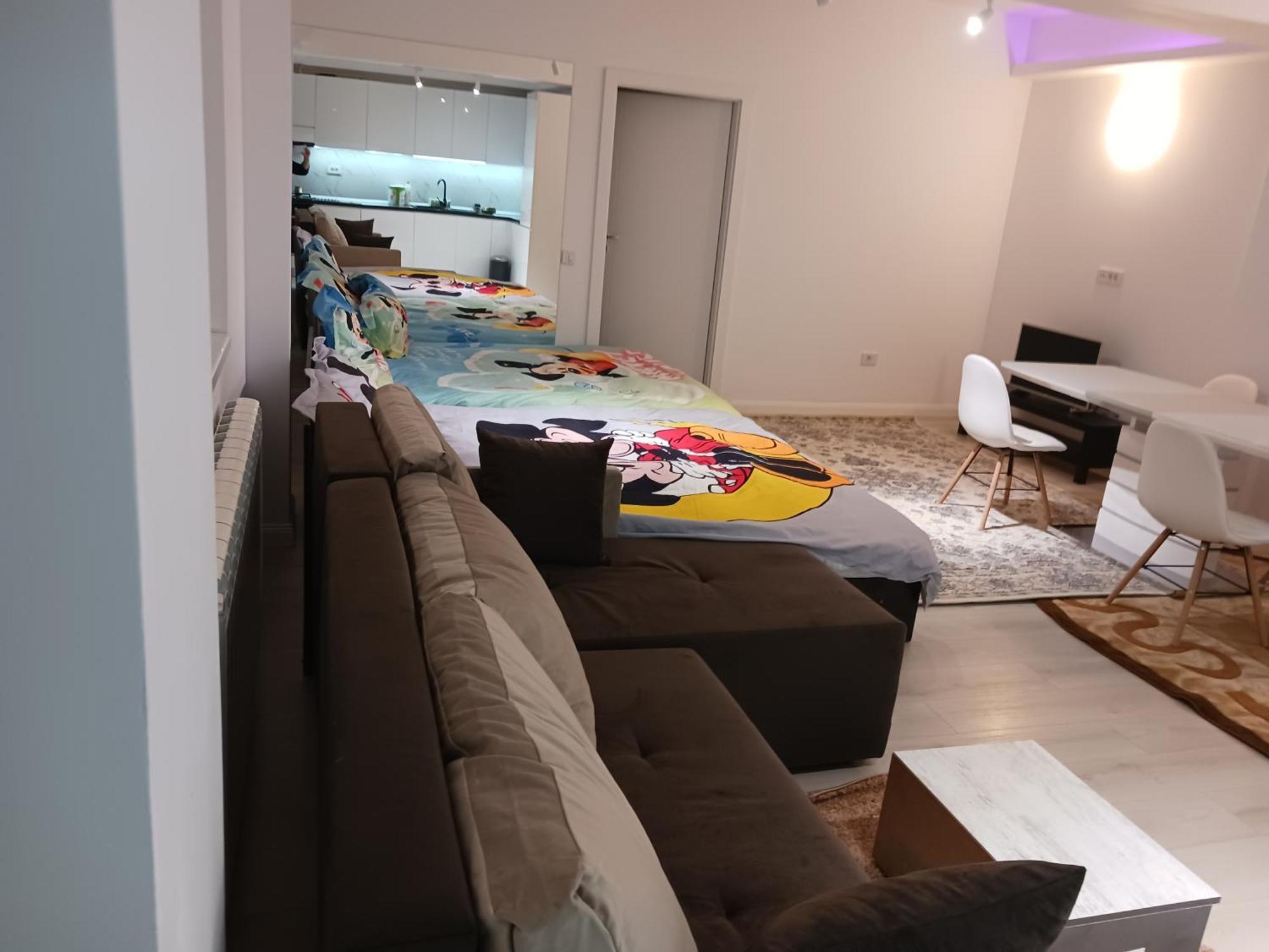 Myky Mouse Nu Primesc Santieristi Si Petrecareti Apartment Букурещ Екстериор снимка