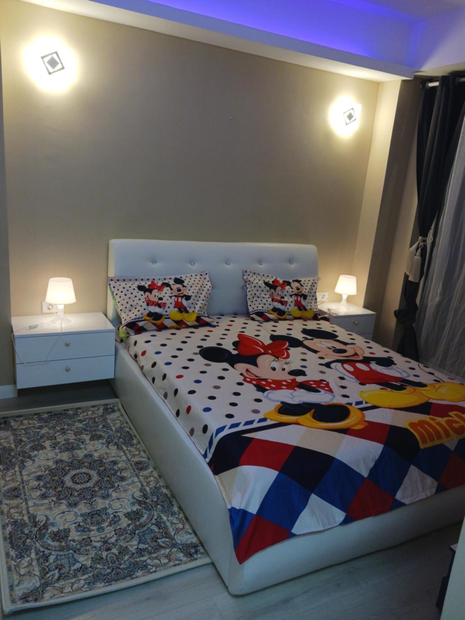 Myky Mouse Nu Primesc Santieristi Si Petrecareti Apartment Букурещ Екстериор снимка