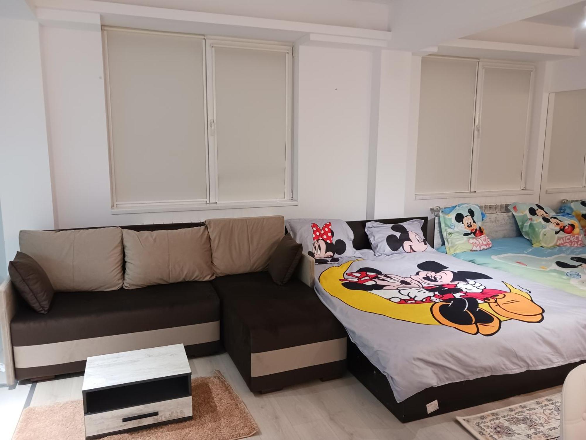 Myky Mouse Nu Primesc Santieristi Si Petrecareti Apartment Букурещ Екстериор снимка