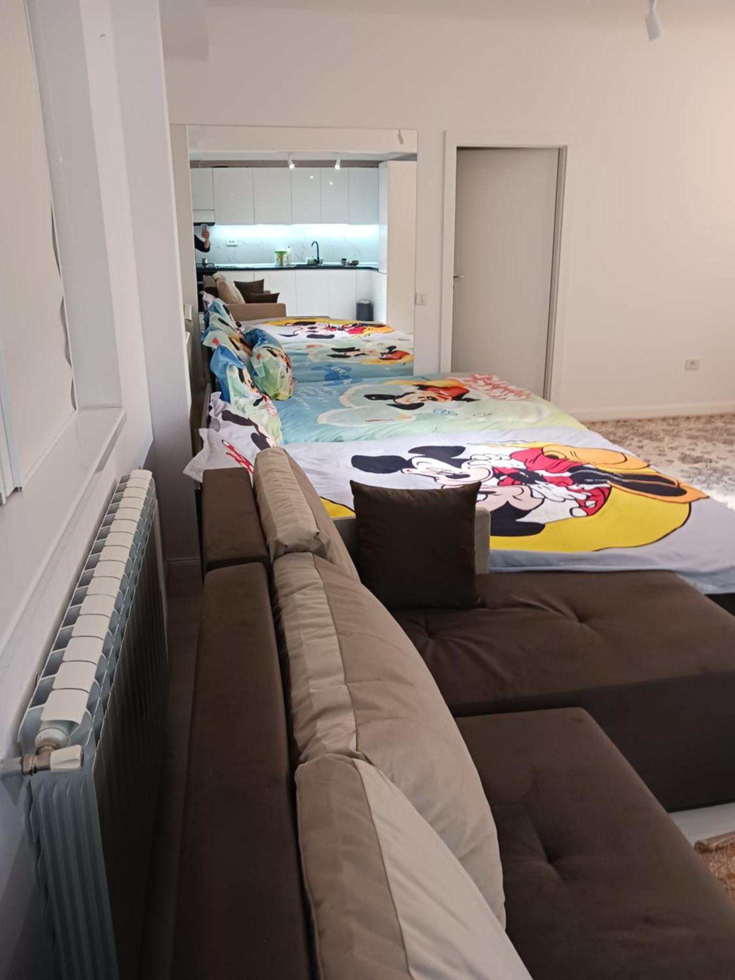 Myky Mouse Nu Primesc Santieristi Si Petrecareti Apartment Букурещ Екстериор снимка