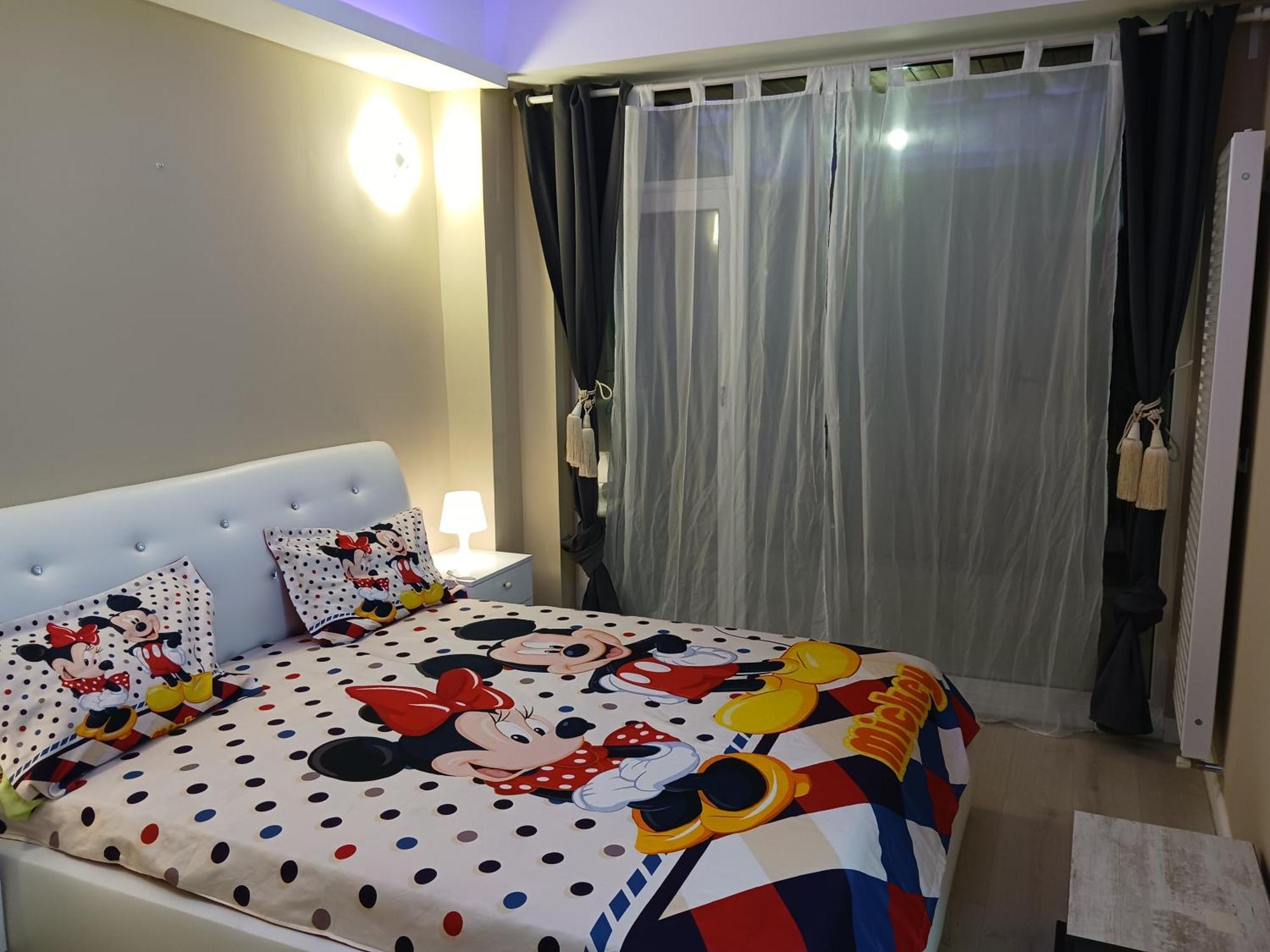 Myky Mouse Nu Primesc Santieristi Si Petrecareti Apartment Букурещ Екстериор снимка