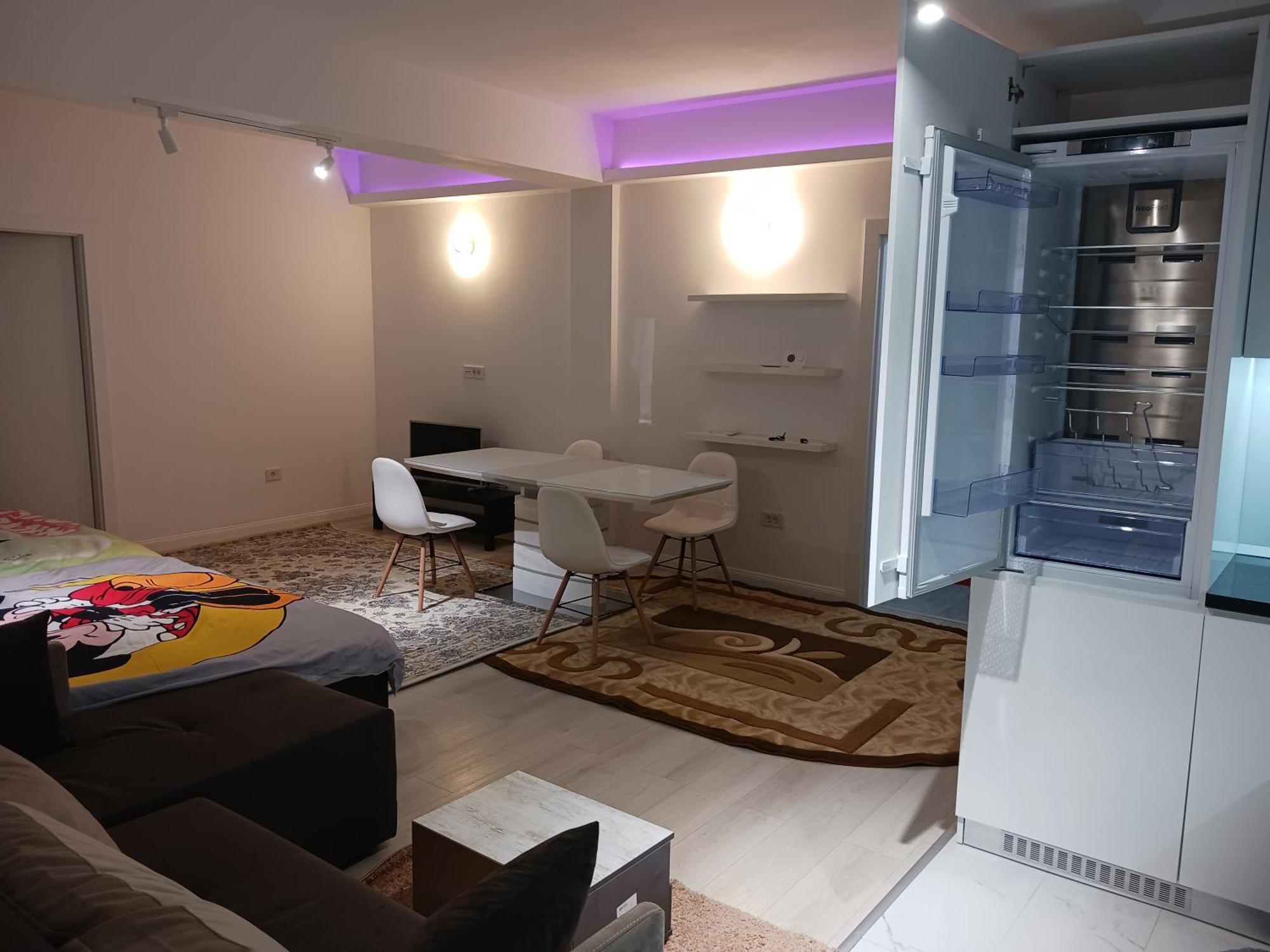 Myky Mouse Nu Primesc Santieristi Si Petrecareti Apartment Букурещ Екстериор снимка