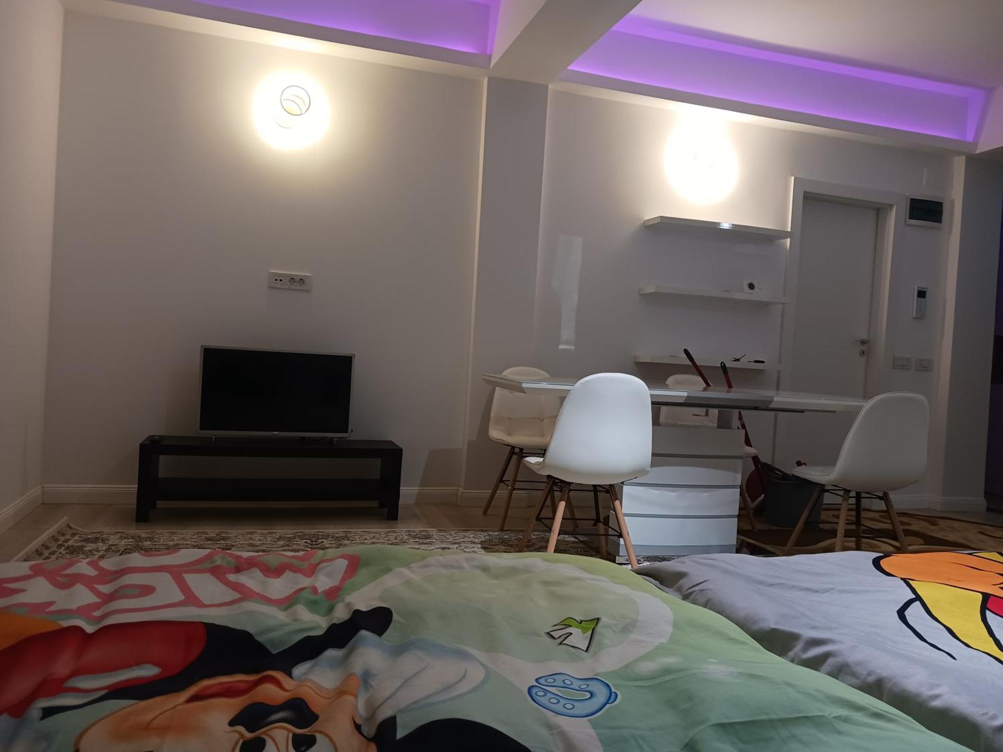 Myky Mouse Nu Primesc Santieristi Si Petrecareti Apartment Букурещ Екстериор снимка