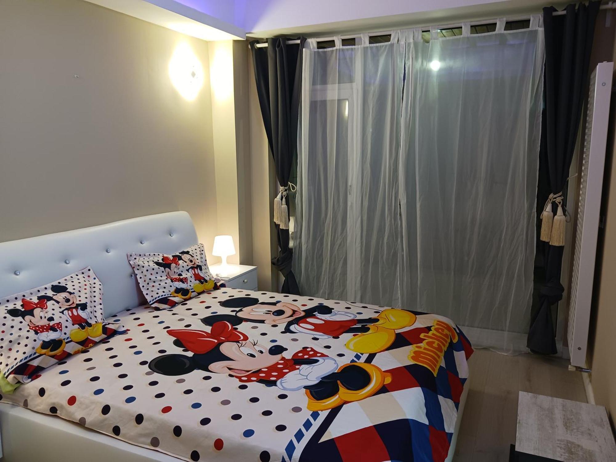 Myky Mouse Nu Primesc Santieristi Si Petrecareti Apartment Букурещ Екстериор снимка