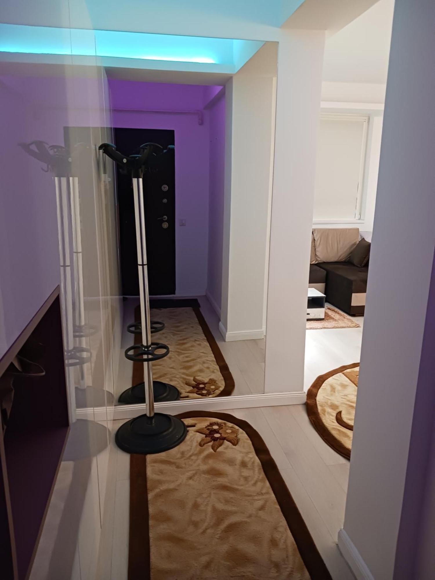Myky Mouse Nu Primesc Santieristi Si Petrecareti Apartment Букурещ Екстериор снимка
