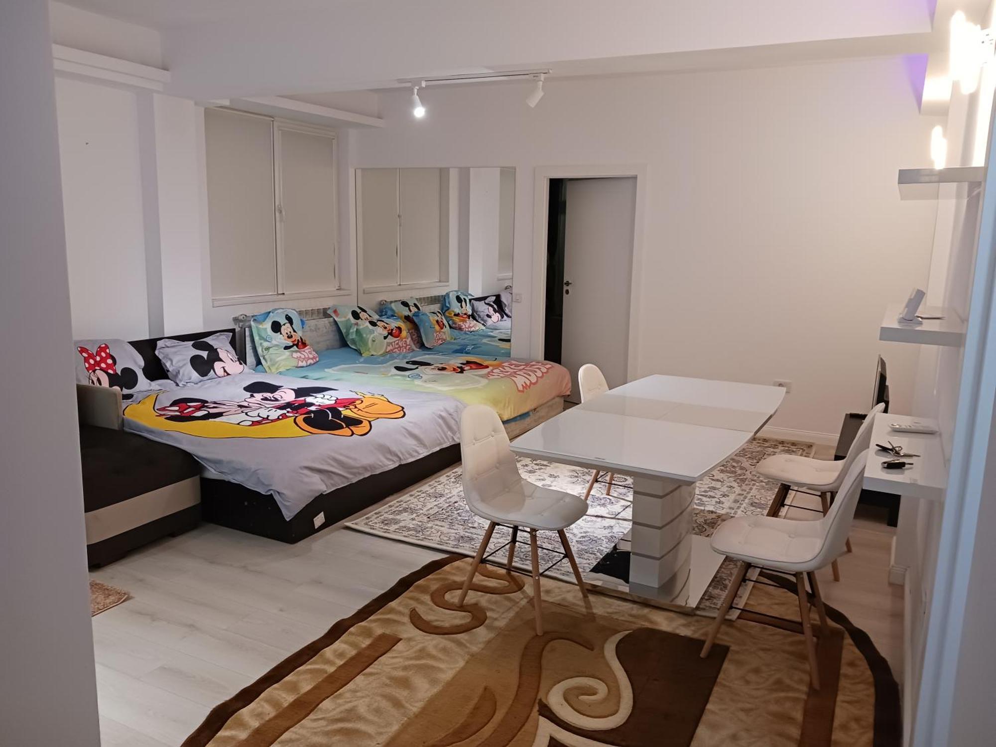 Myky Mouse Nu Primesc Santieristi Si Petrecareti Apartment Букурещ Екстериор снимка