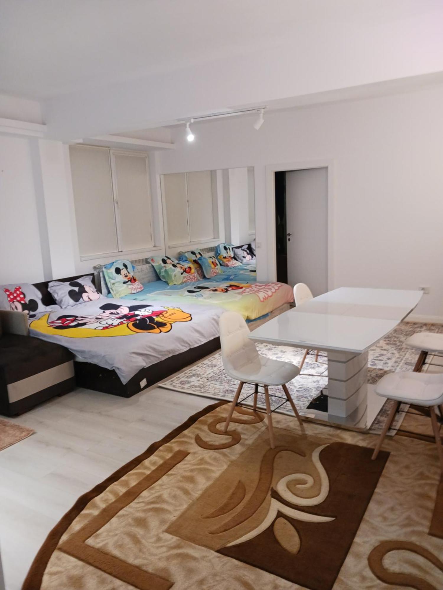 Myky Mouse Nu Primesc Santieristi Si Petrecareti Apartment Букурещ Екстериор снимка