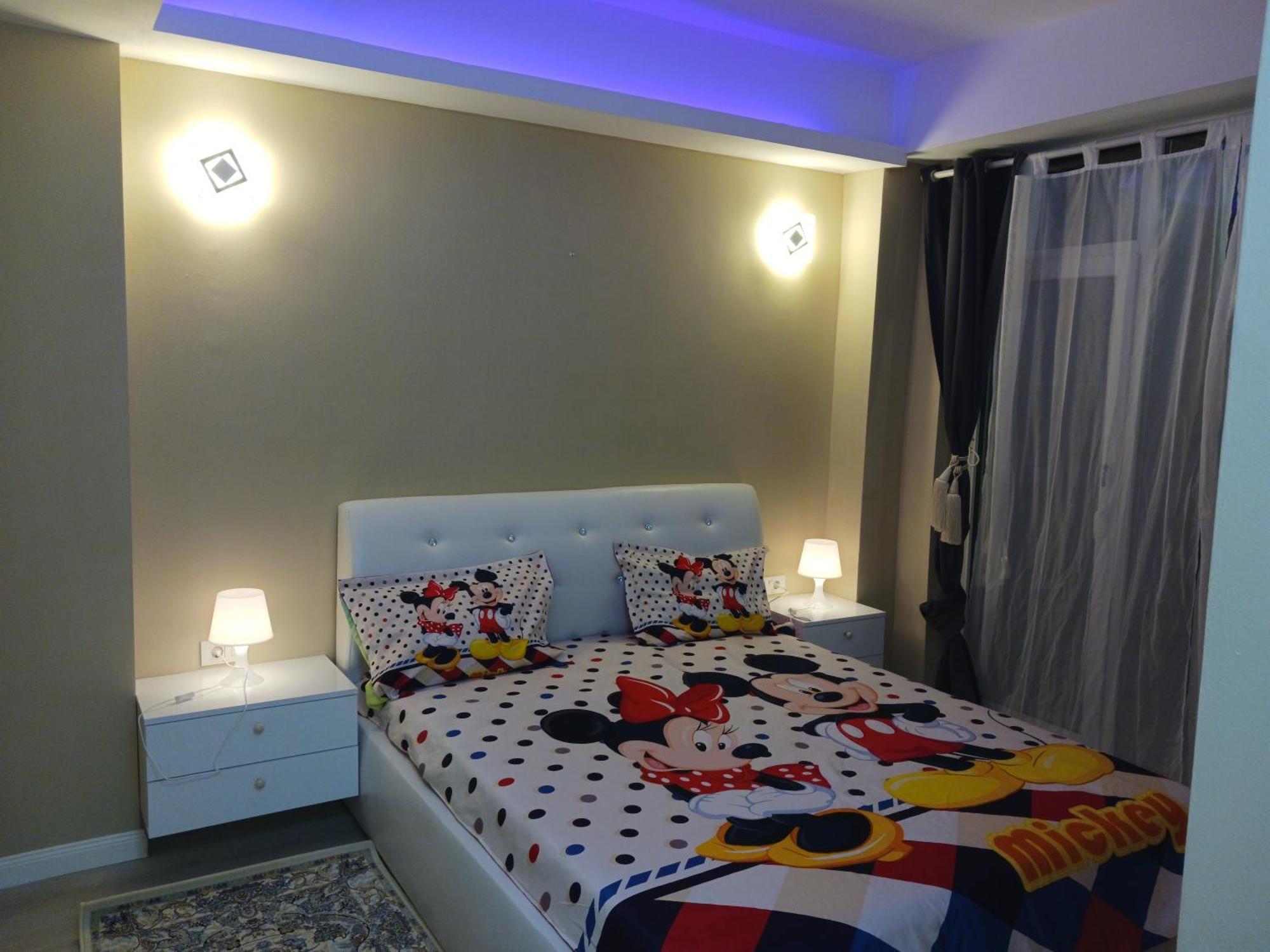 Myky Mouse Nu Primesc Santieristi Si Petrecareti Apartment Букурещ Екстериор снимка