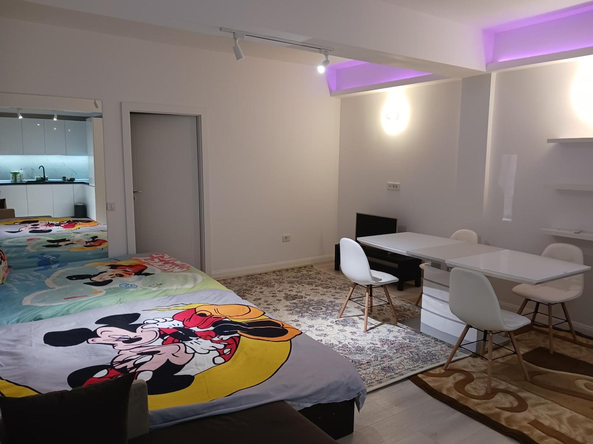 Myky Mouse Nu Primesc Santieristi Si Petrecareti Apartment Букурещ Екстериор снимка