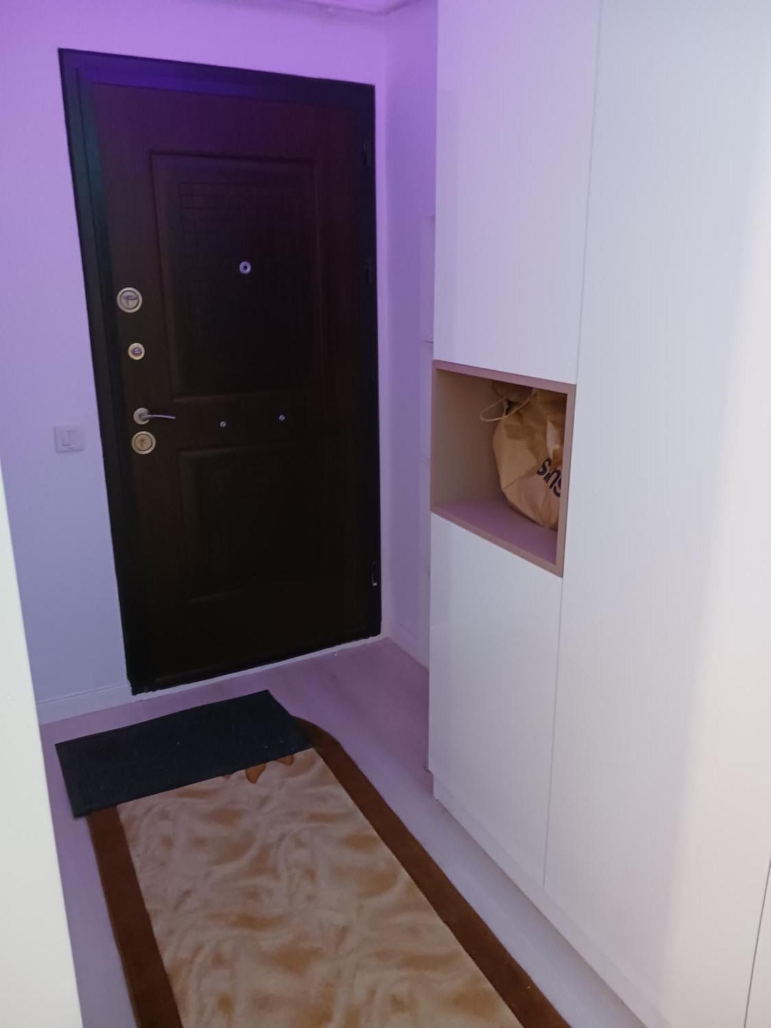 Myky Mouse Nu Primesc Santieristi Si Petrecareti Apartment Букурещ Екстериор снимка