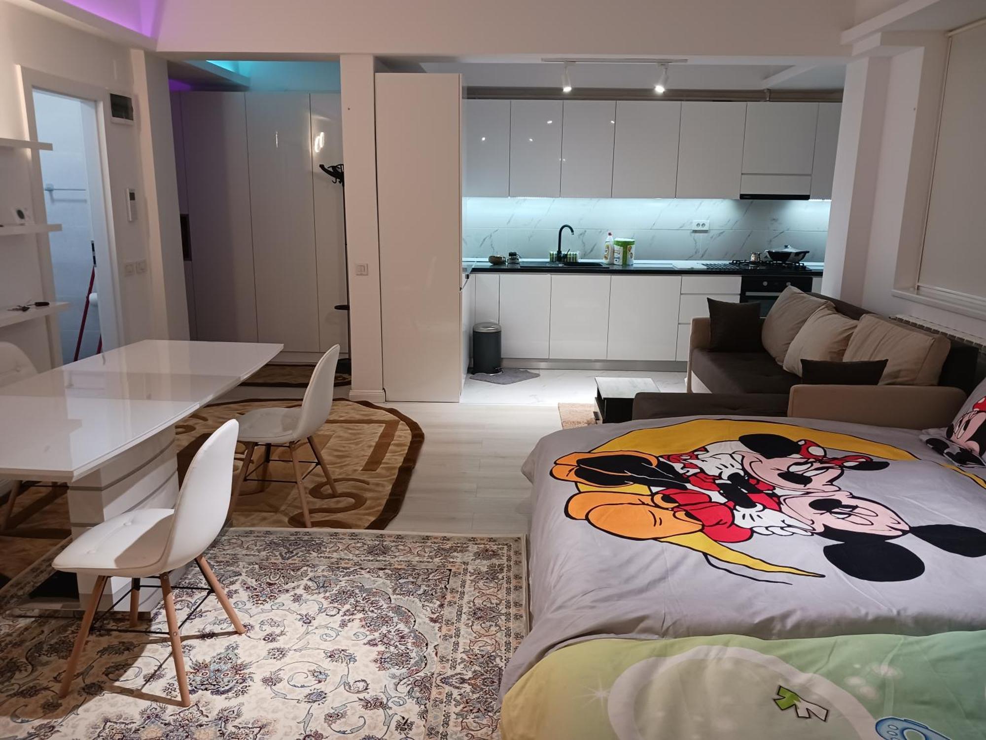 Myky Mouse Nu Primesc Santieristi Si Petrecareti Apartment Букурещ Екстериор снимка