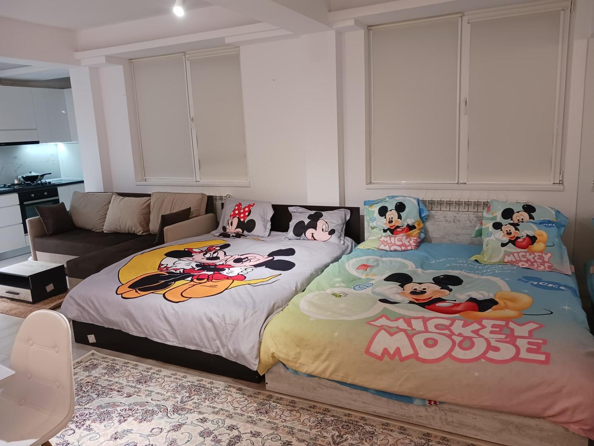Myky Mouse Nu Primesc Santieristi Si Petrecareti Apartment Букурещ Екстериор снимка