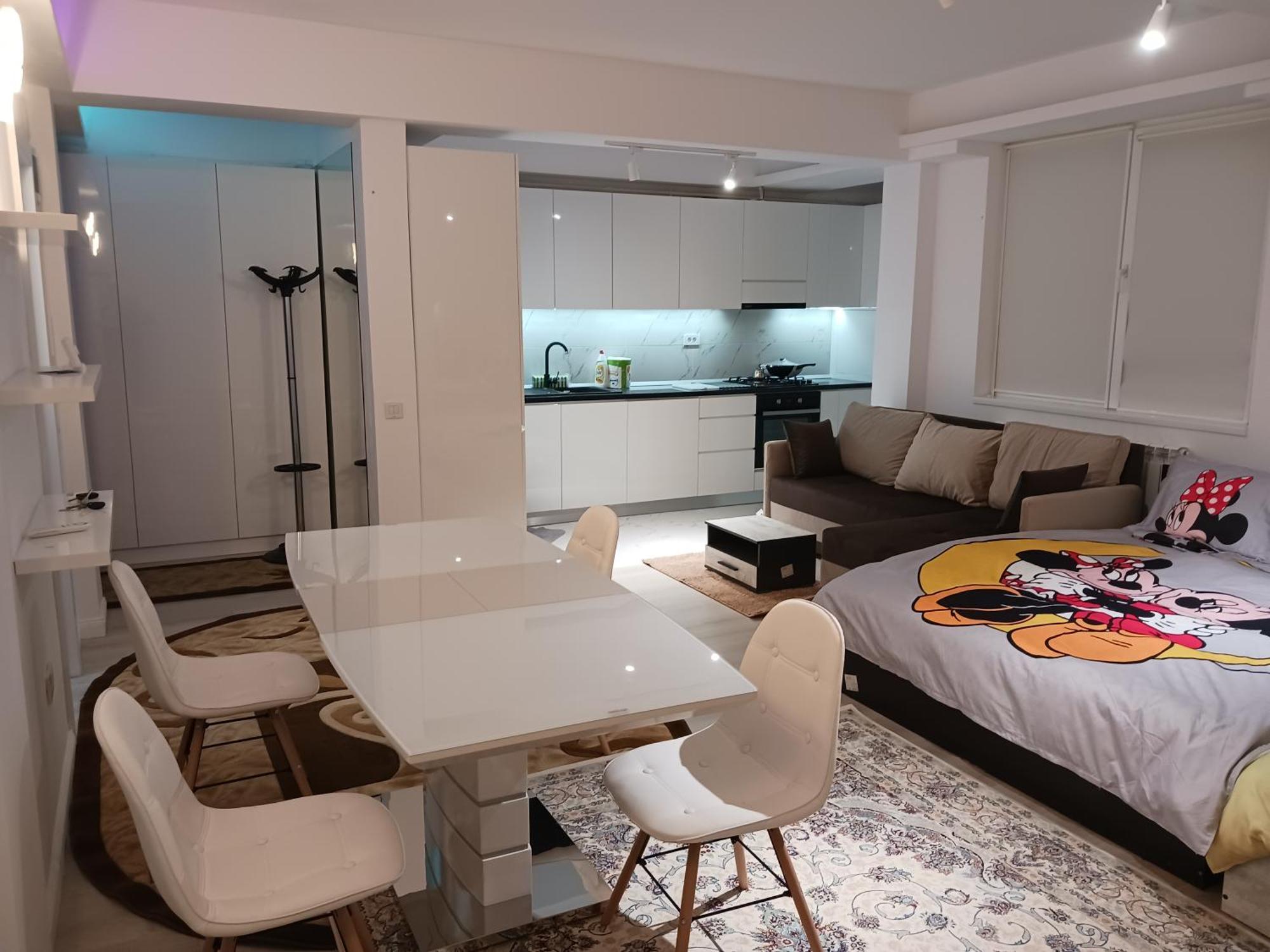 Myky Mouse Nu Primesc Santieristi Si Petrecareti Apartment Букурещ Екстериор снимка